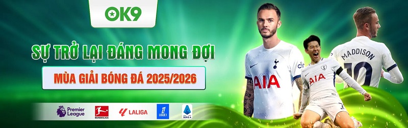 Cá cược thể thao ok9